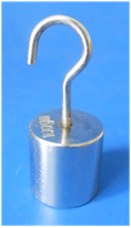 Weights with Hook 100g