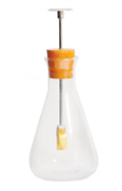 ELECTRIC DETECTOR WITH GOLD FOIL MODEL