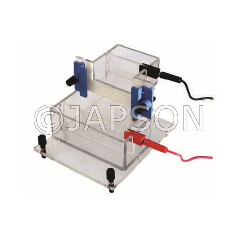 Electrophoresis System, Vertical, Mini