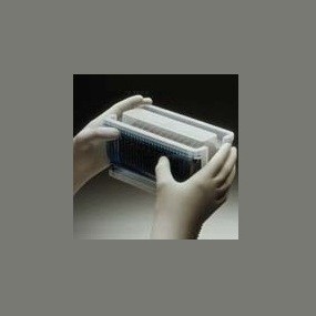 Gloves Nitrile