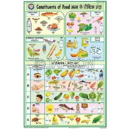 Health Care Series Charts, School Education