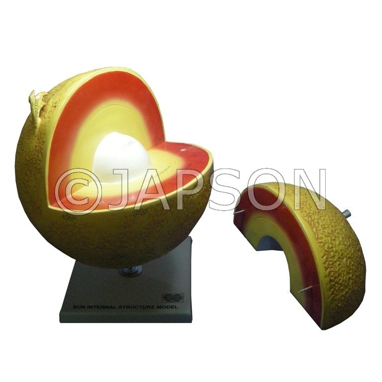 Model, Sun Internal Structure, 1/4 part detachable