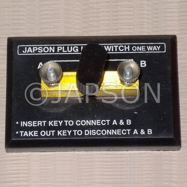 Plug Key