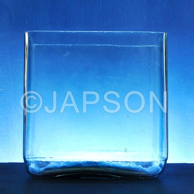 Specimen Jar, Rectangular without Covers