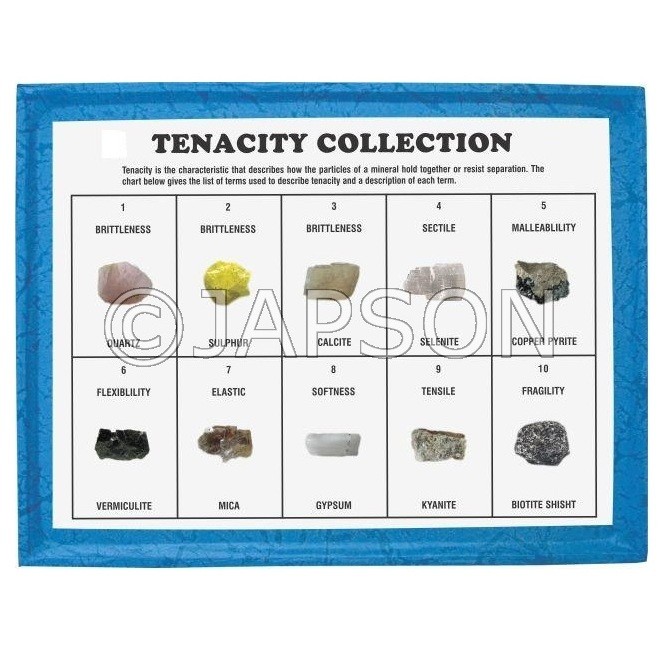 Tenacity Collection, Set of 10