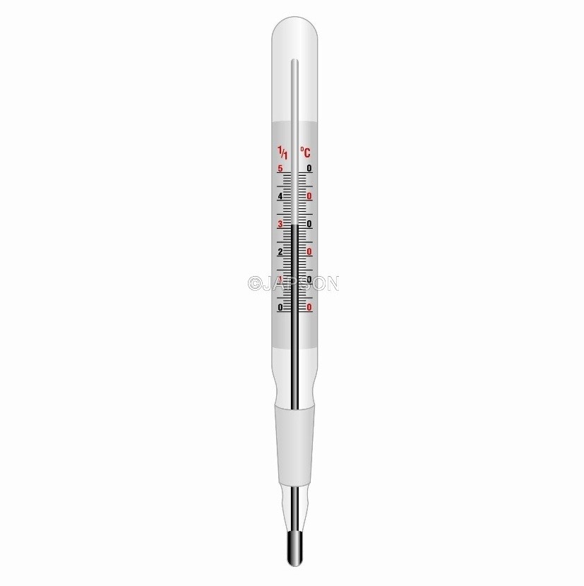 Thermometer, Ground Joint (Cone Type)