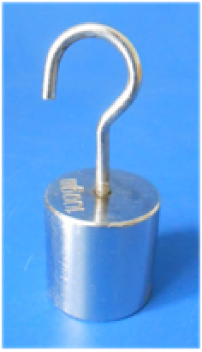 Weights with Hook 100g