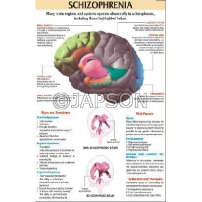 Medical (Nursing) Charts-III, School Education