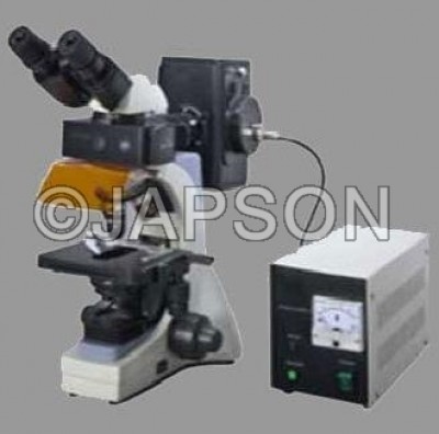 Fluorescent Microscope, Research