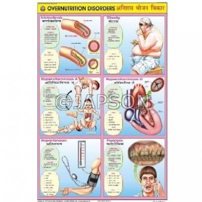 Food & Nutrition Charts, School Education