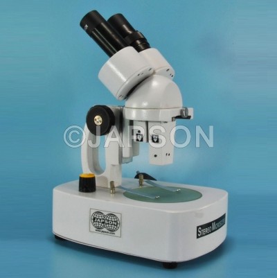 Inclined Stereo Microscope, with Electric Illumination