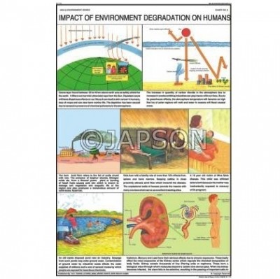 Man & Environment Charts, School Education