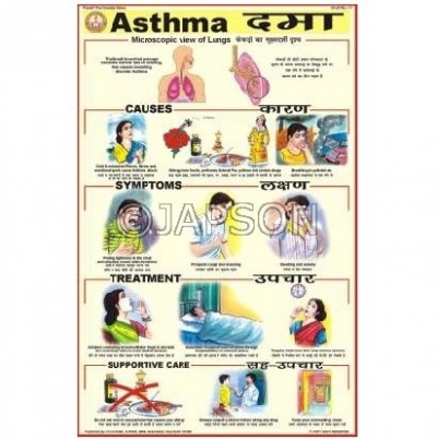 Prevent The Diseases Charts, School Education