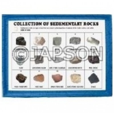 Sedimentary Rocks Set, Collection of 15 Sedimentary Rocks