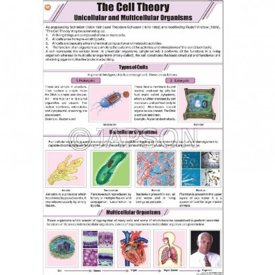 General Science (I) Charts, School Education