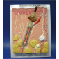 Model of Longitudinal section in skin