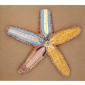 Model of Starfish 