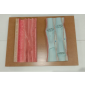 Model of Phloem and Xylem 