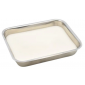 DISSECTING DISH