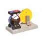 Dynamo model with magnet