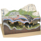 CAVE MODEL