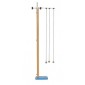 Simple Pendulum