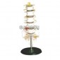 Human Lumbar Vertebrae Model