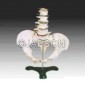 Human Pelvis Structural Model With 5 Pcs Lumbar Vertebraes