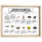 Minerals Used in Health & Medicine, Set of 10