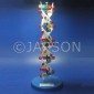 Model, DNA