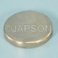 Neodymium Discs