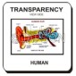 OHP/Overhead Projector - Transparencies/Slide