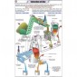 Chemistry (II) Charts, School Education 