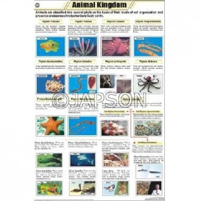 Animal Charts, Zoology, School Education