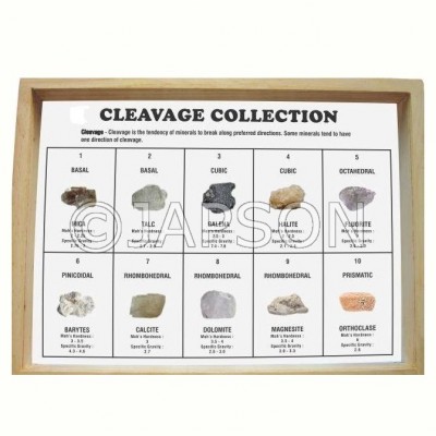 Cleavage Collection, Set of 10