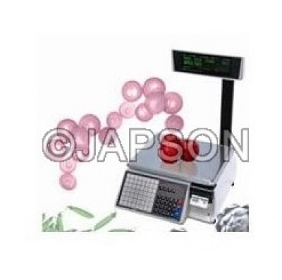 Label Printing Scale