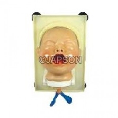 Newborn Baby Model, Intubation