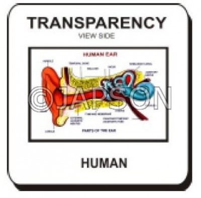 OHP/Overhead Projector - Transparencies/Slide