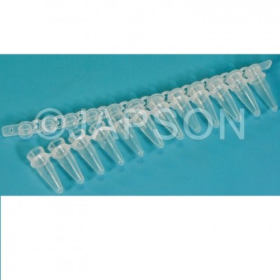 PCR Tube Strip