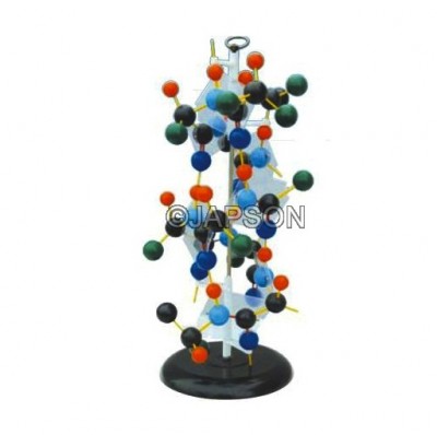 Protein Structure Model