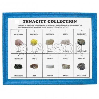 Tenacity Collection, Set of 10