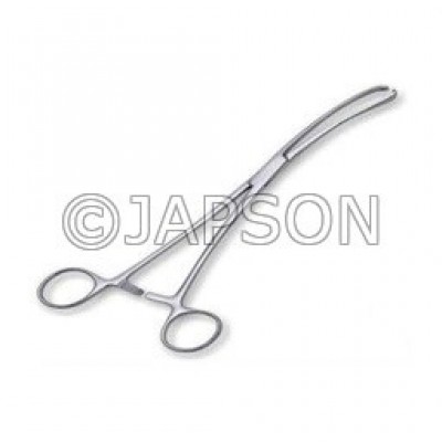 Vasculum Forcep