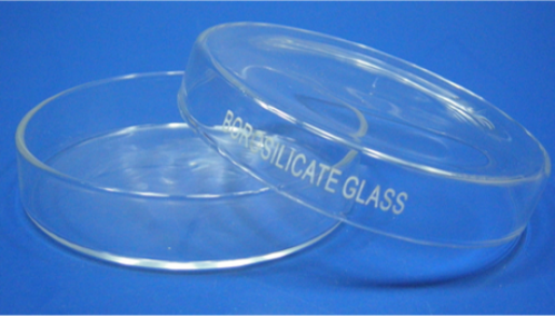 PETRI DISH