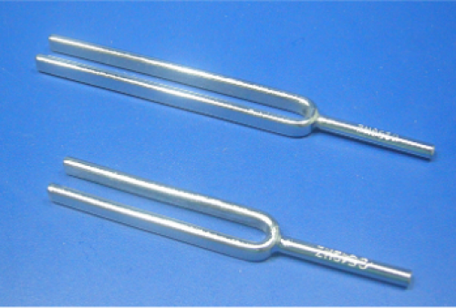 Tuning Fork (1000 Hz):