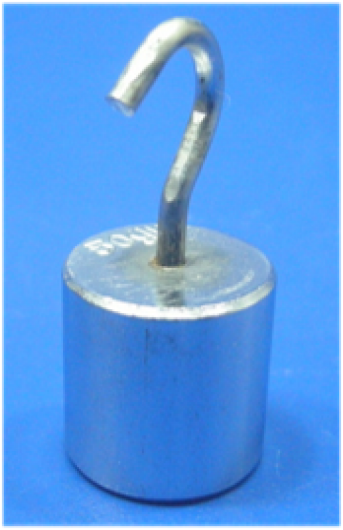 Weights with Hook 50g