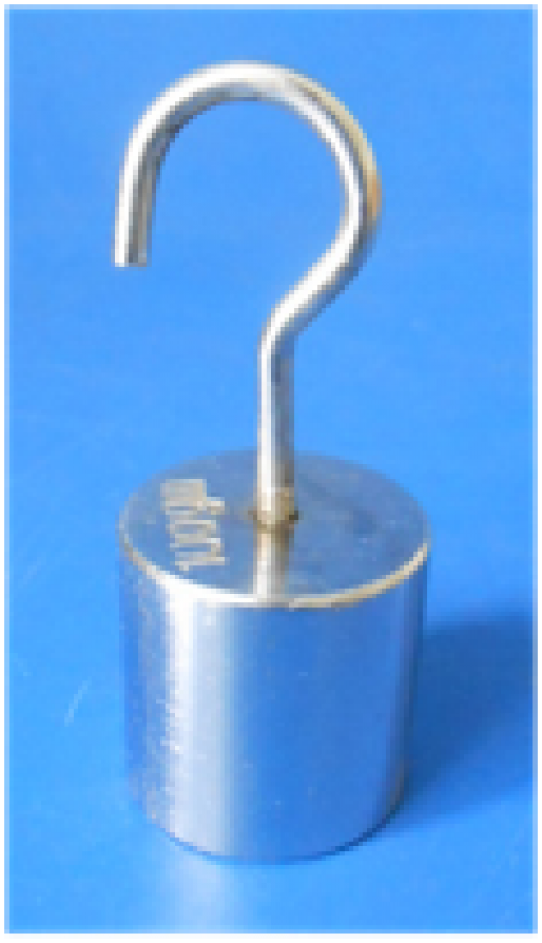 Weights with Hook 100g