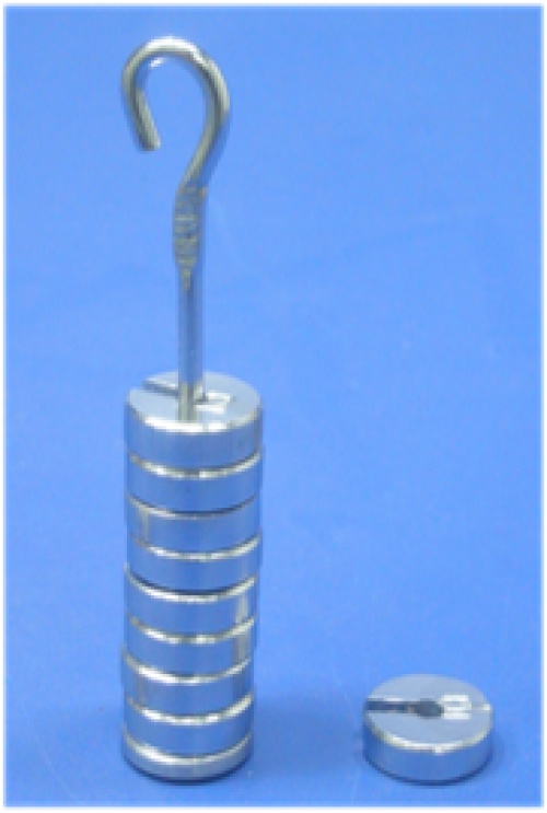 100g Chrome-Plated Slotted Weights Set
