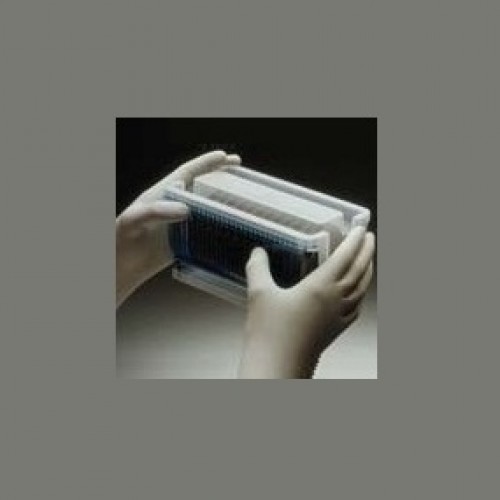 Gloves Nitrile