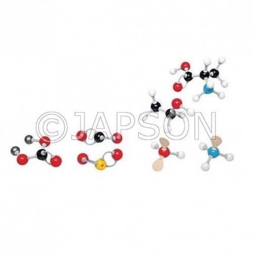 Molecular Model Set - Inorganic / Organic  Set - Student