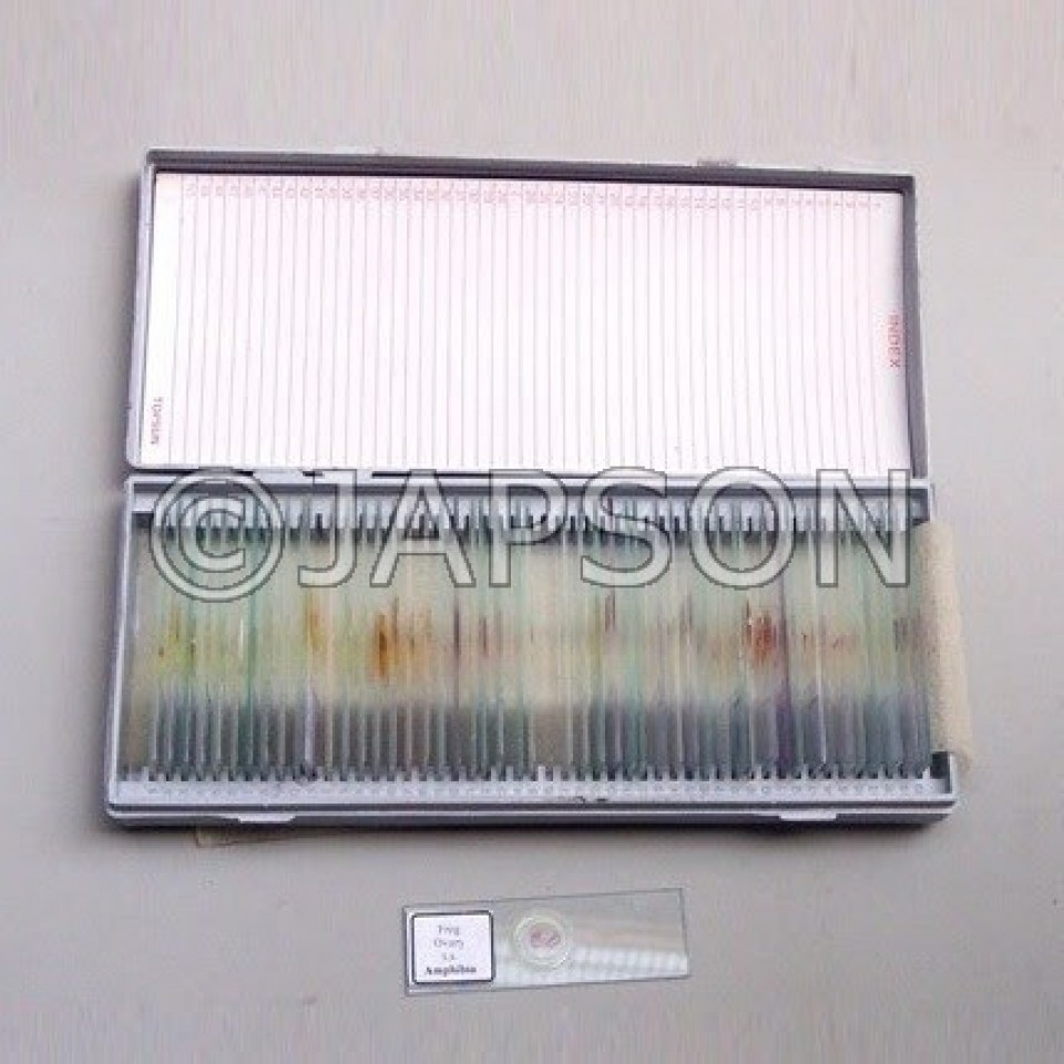 Botanic slide sales